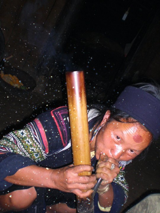 Hmong4 bong