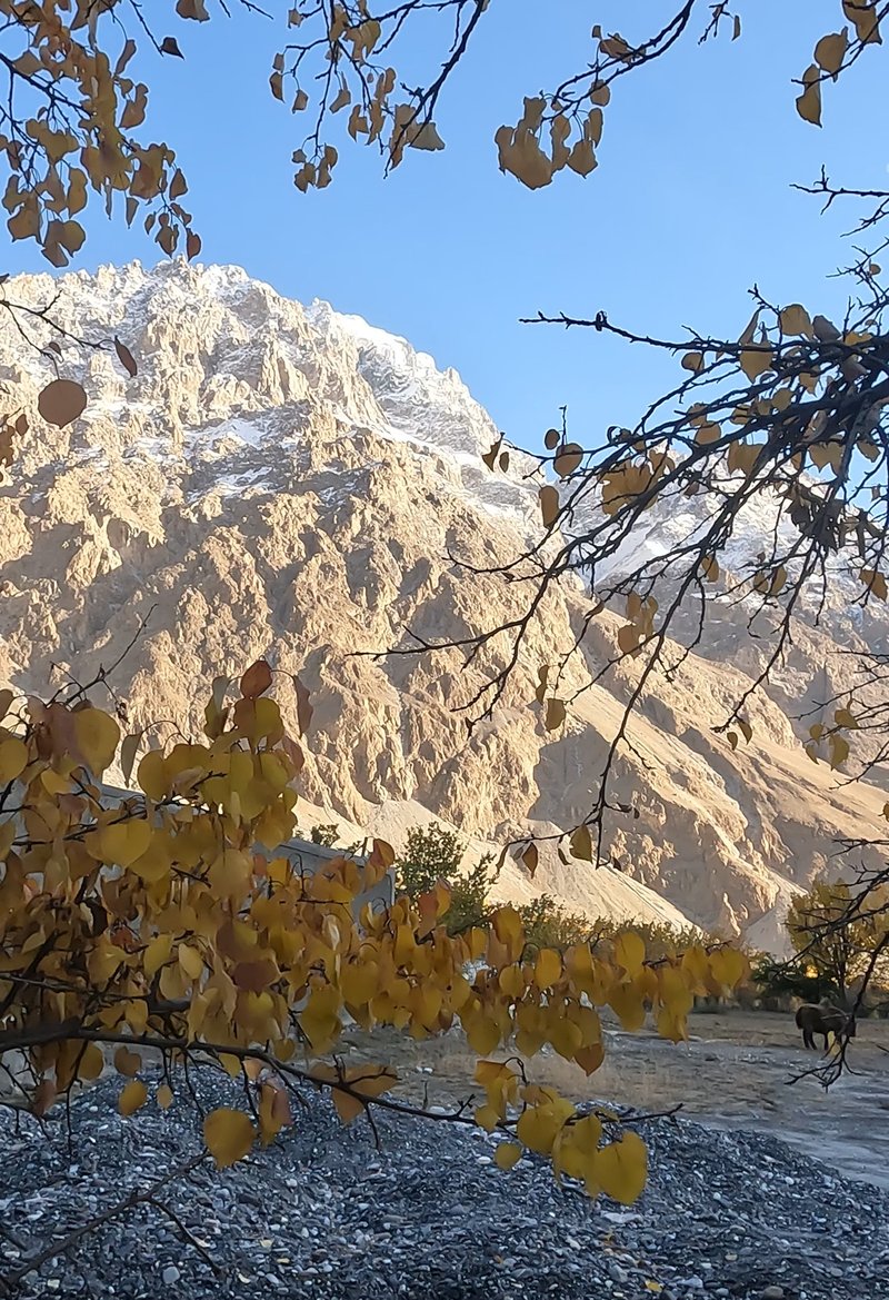 GX013477_1731983586923_2.original cropped