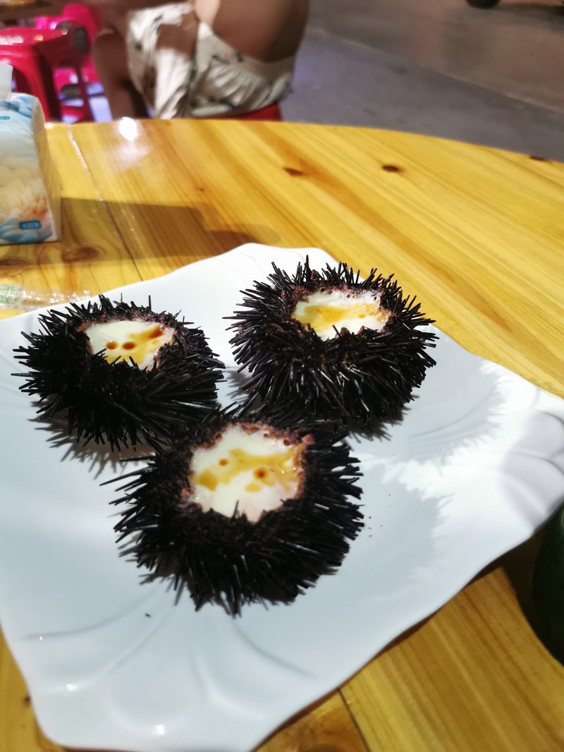 Urchins Dawangcun