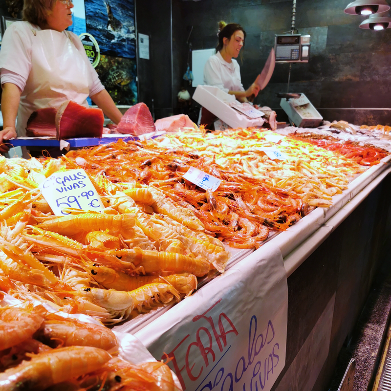 IMG_20250228_125810_018