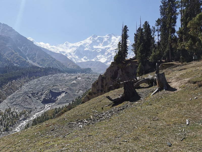 Fairy Meadows